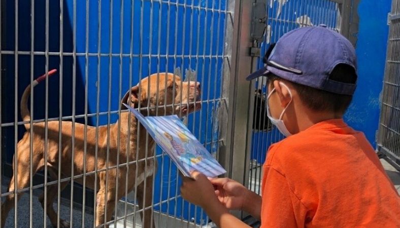 KTLA Pet Literacy