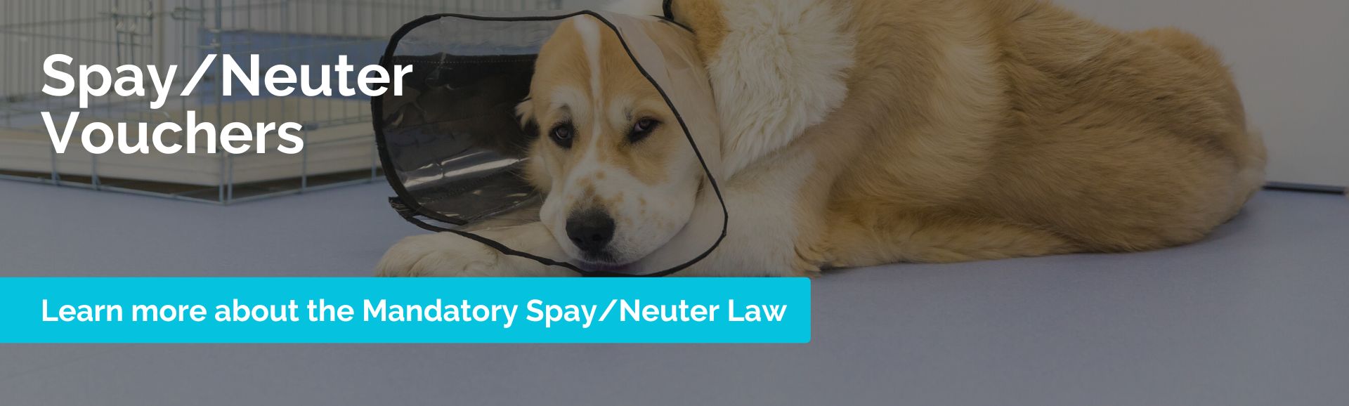 Mandatory Spay/Neuter Law
